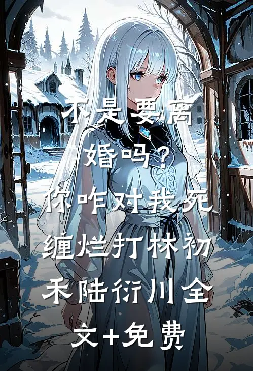 不是要离婚吗？你咋对我死缠烂打林初禾陆衍川全文+免费