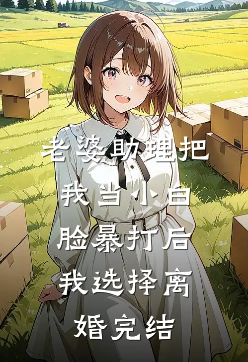 老婆助理把我当小白脸暴打后，我选择离婚完结