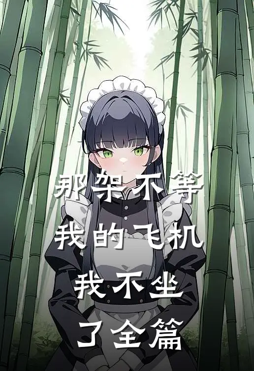 那架不等我的飞机，我不坐了全篇