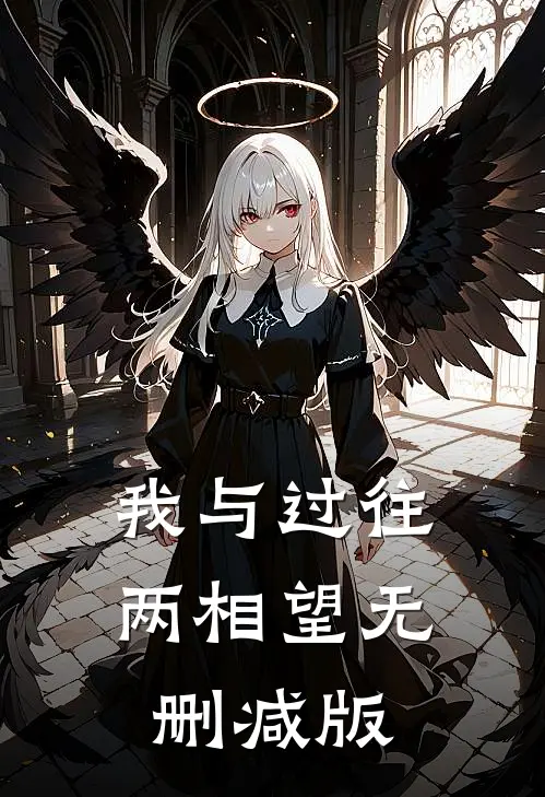 我与过往两相望无删减版