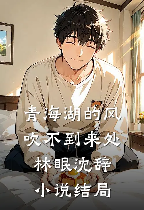 青海湖的风，吹不到来处林眠沈辞小说结局