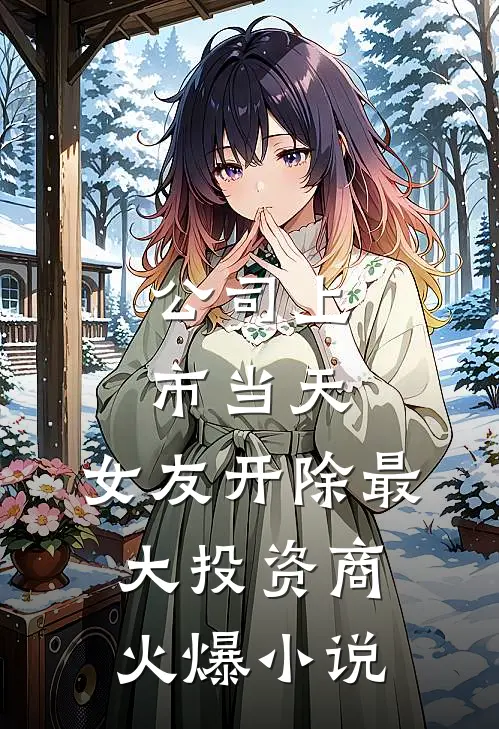 公司上市当天，女友开除最大投资商火爆小说