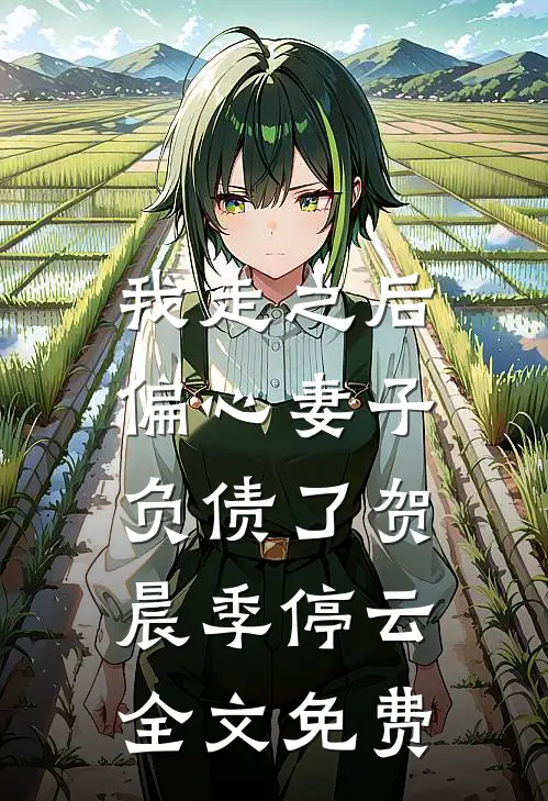 我走之后，偏心妻子负债了贺晨季停云全文免费