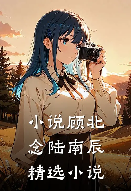 小说顾北念陆南辰精选小说