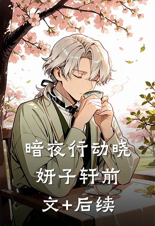 暗夜行动晓妍子轩前文+后续