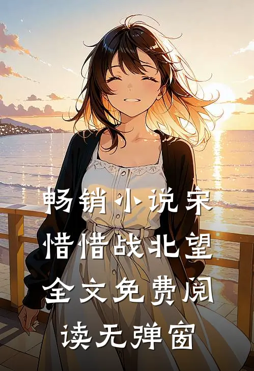 畅销小说宋惜惜战北望全文免费阅读无弹窗