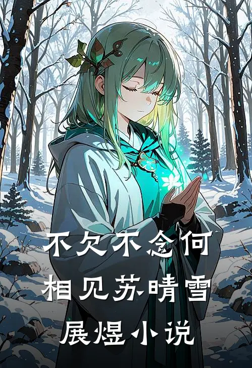 不欠不念何相见苏晴雪展煜小说