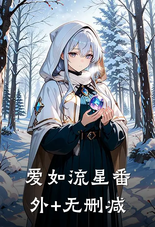 爱如流星番外+无删减