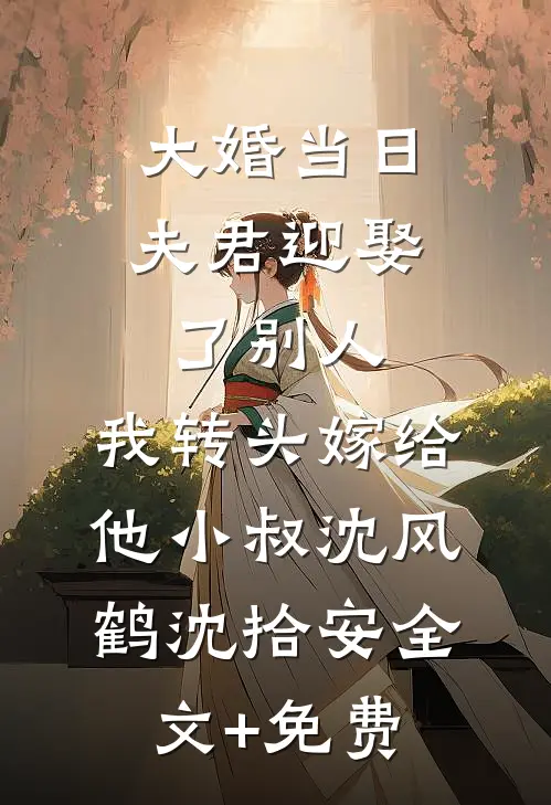 大婚当日夫君迎娶了别人，我转头嫁给他小叔沈风鹤沈拾安全文+免费