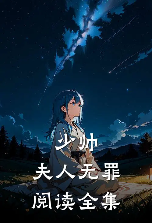 少帅，夫人无罪阅读全集