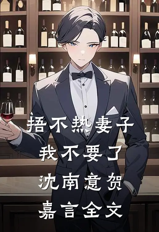 捂不热妻子，我不要了沈南意贺嘉言全文
