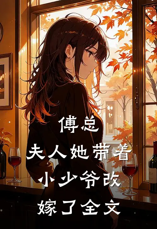 傅总，夫人她带着小少爷改嫁了全文