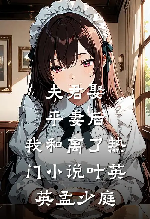 夫君娶平妻后，我和离了热门小说叶英英孟少庭