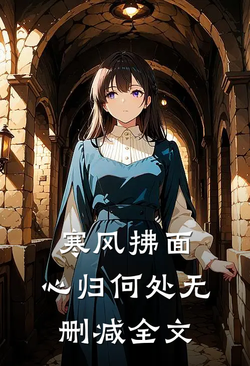 寒风拂面，心归何处无删减全文