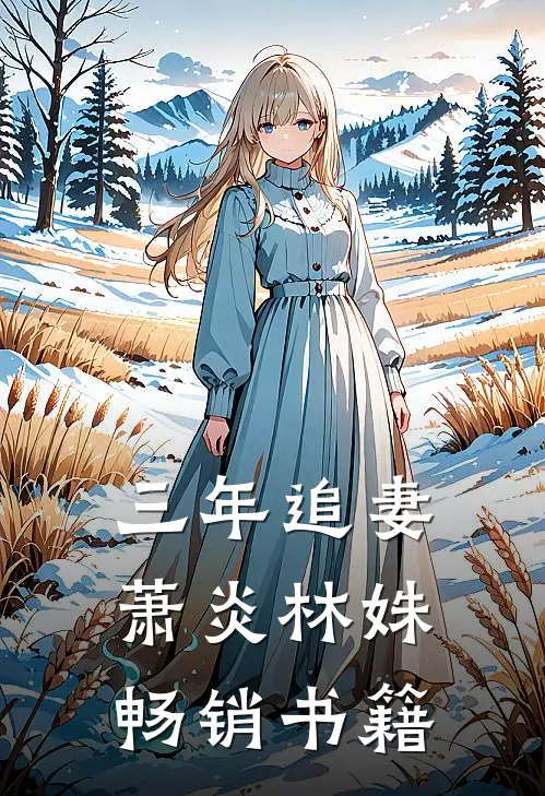 三年追妻萧炎林姝畅销书籍