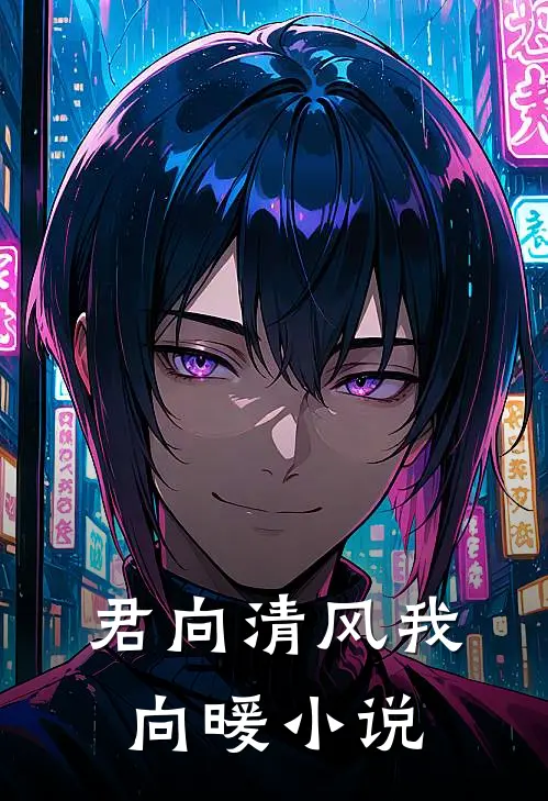 君向清风我向暖小说