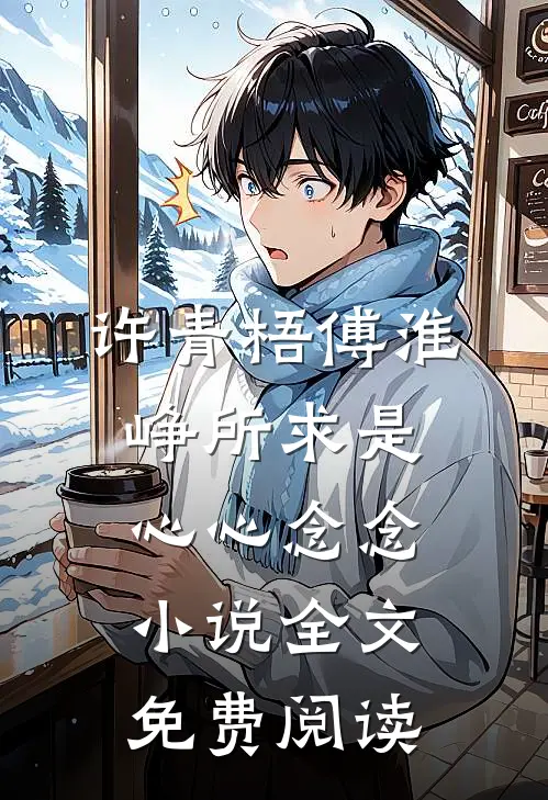 许青梧傅淮峥所求是心心念念小说全文免费阅读