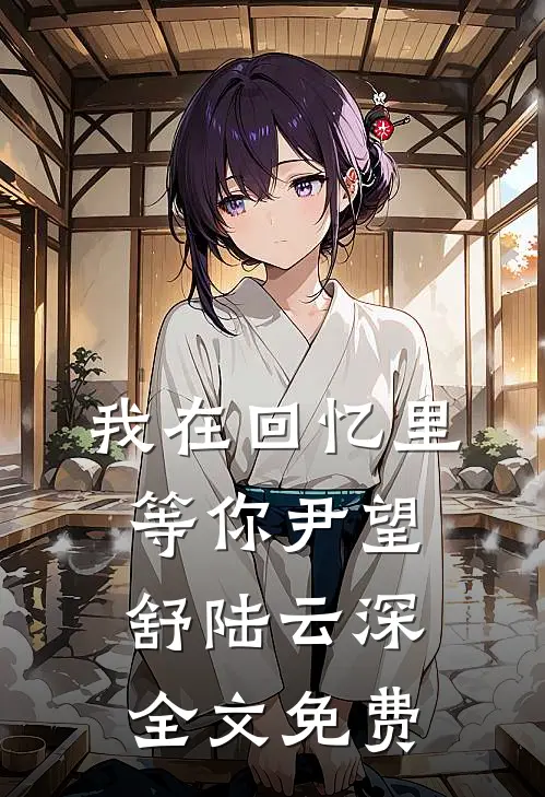 我在回忆里等你尹望舒陆云深全文免费