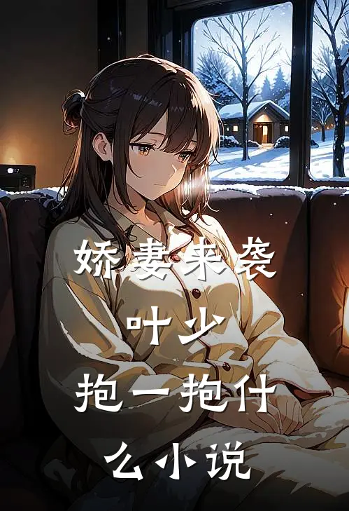 娇妻来袭：叶少，抱一抱什么小说