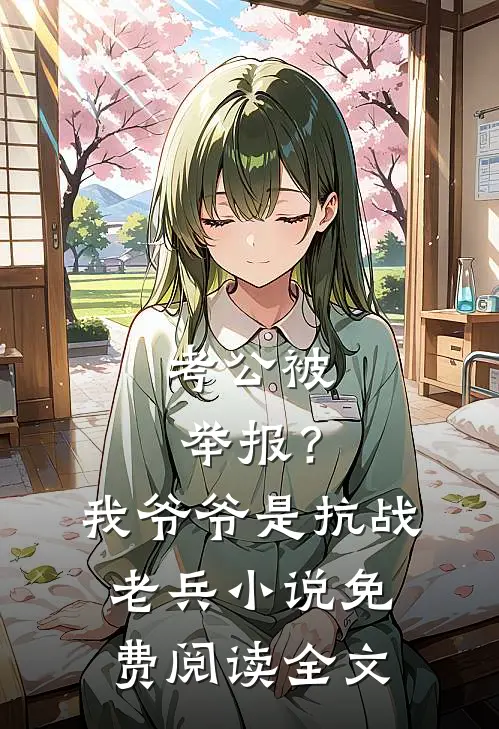 考公被举报？我爷爷是抗战老兵小说免费阅读全文