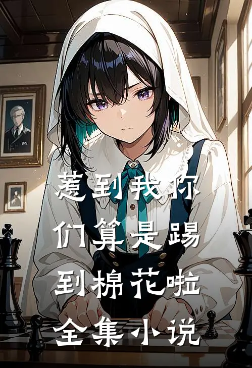 惹到我你们算是踢到棉花啦全集小说