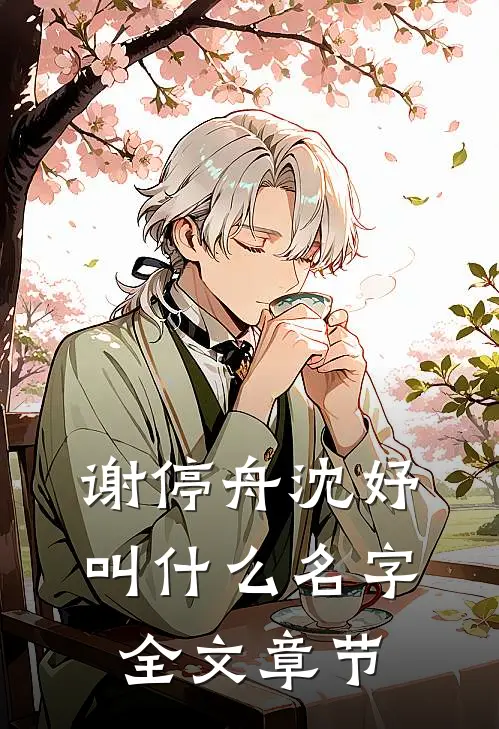 谢停舟沈妤叫什么名字全文章节