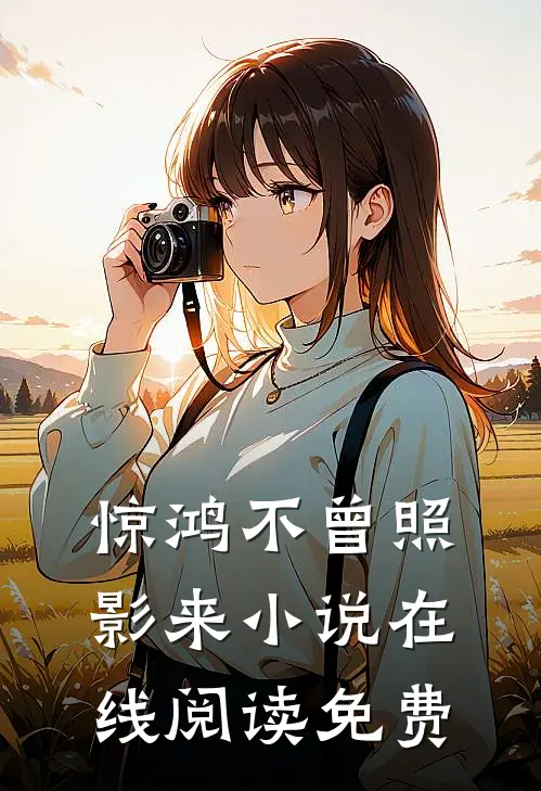 惊鸿不曾照影来小说在线阅读免费