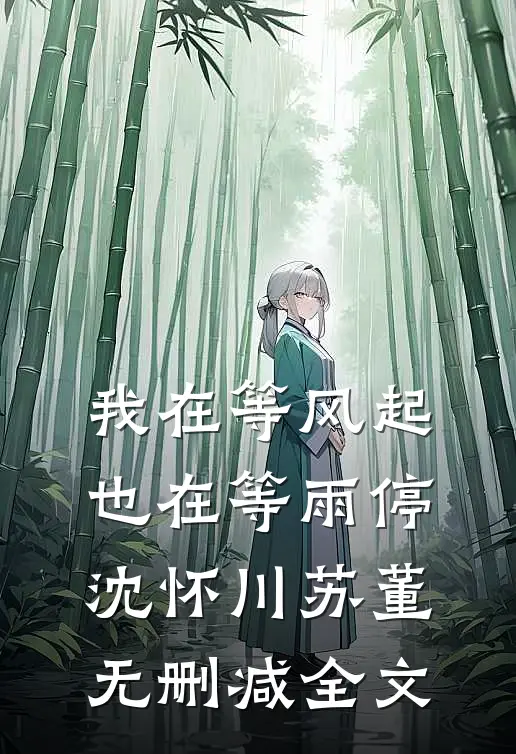 我在等风起，也在等雨停沈怀川苏董无删减全文