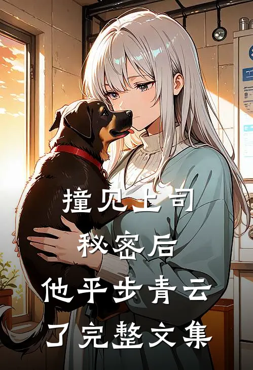 撞见上司秘密后，他平步青云了完整文集