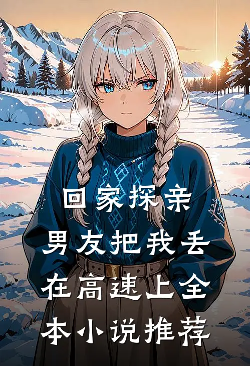 回家探亲，男友把我丢在高速上全本小说推荐
