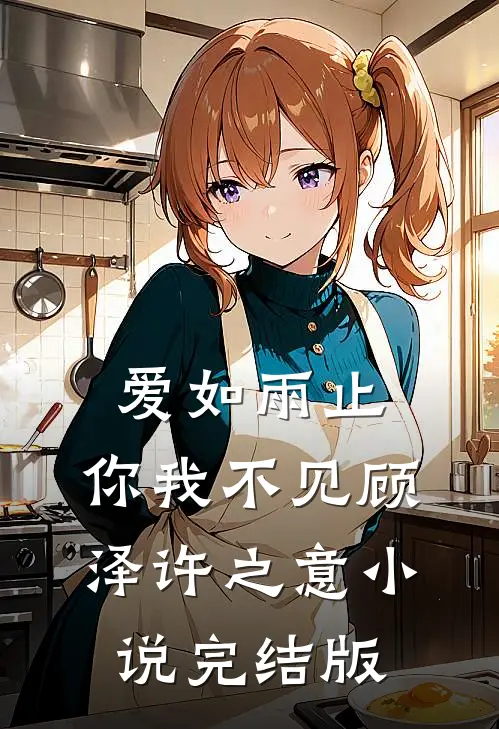爱如雨止，你我不见顾泽许之意小说完结版