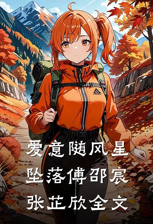 爱意随风星坠落傅邵宸张芷欣全文