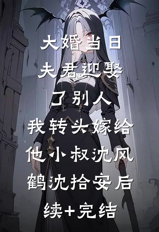 大婚当日夫君迎娶了别人，我转头嫁给他小叔沈风鹤沈拾安后续+完结
