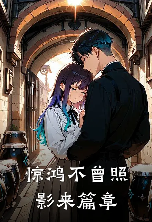 惊鸿不曾照影来篇章