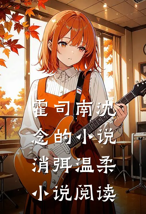 霍司南沈念的小说消弭温柔小说阅读