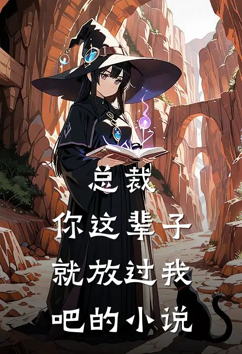 总裁，你这辈子就放过我吧的小说