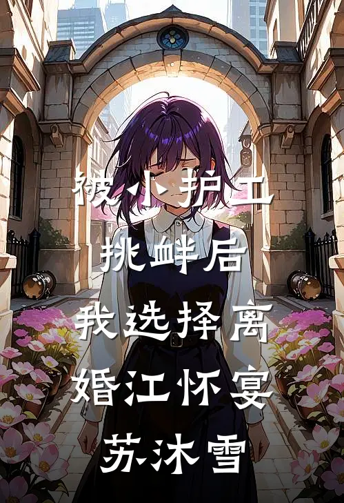 被小护工挑衅后，我选择离婚江怀宴苏沐雪