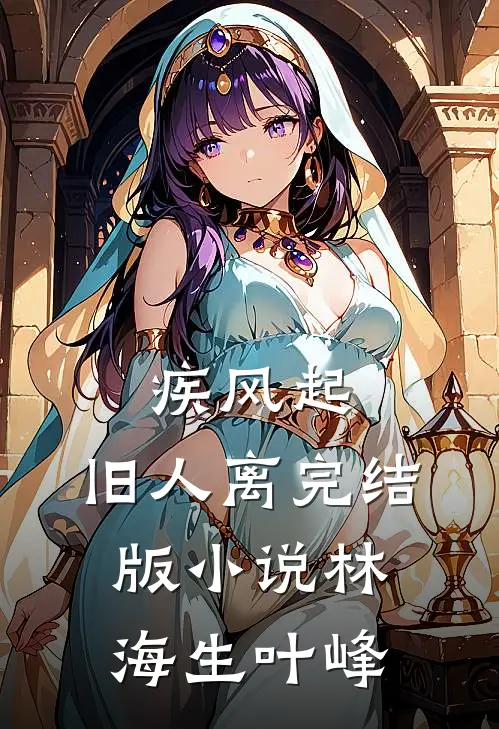疾风起，旧人离完结版小说林海生叶峰
