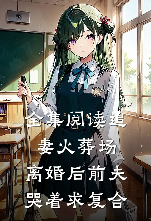 全集阅读追妻火葬场：离婚后前夫哭着求复合