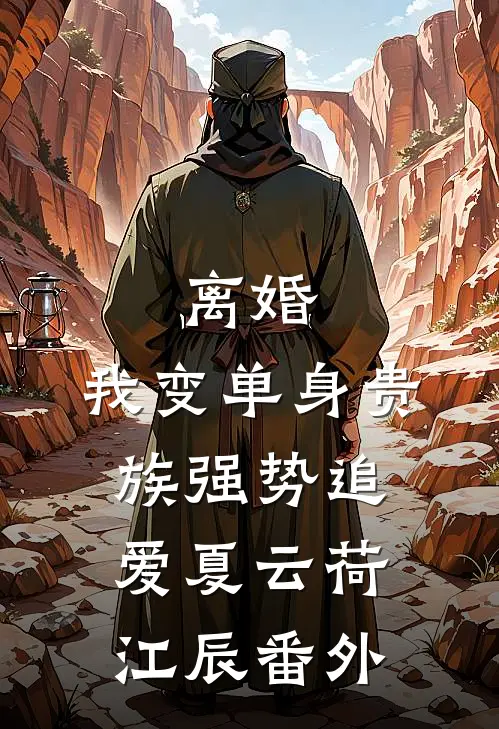 离婚：我变单身贵族强势追爱夏云荷江辰 番外