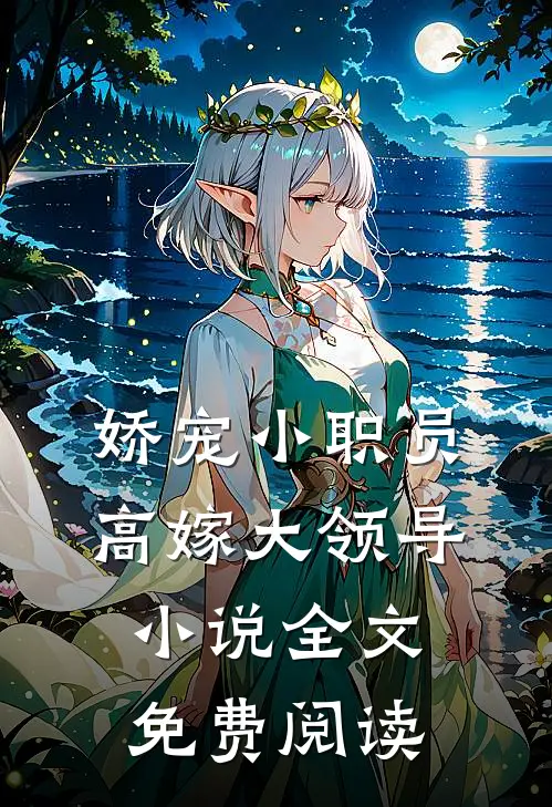 娇宠小职员，高嫁大领导小说全文免费阅读