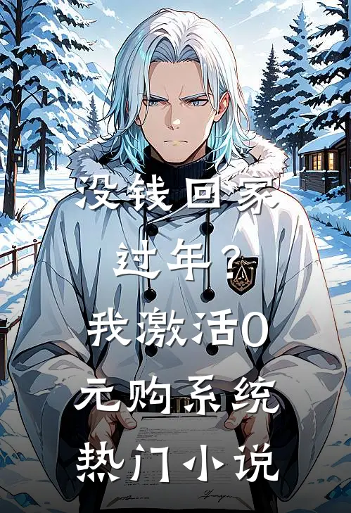 没钱回家过年？我激活0元购系统热门小说
