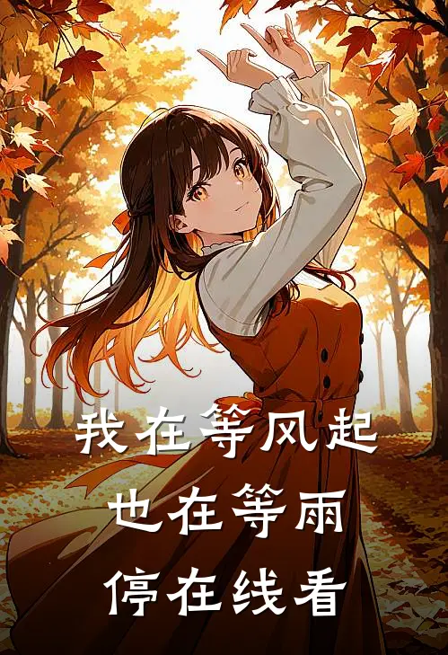 我在等风起，也在等雨停在线看