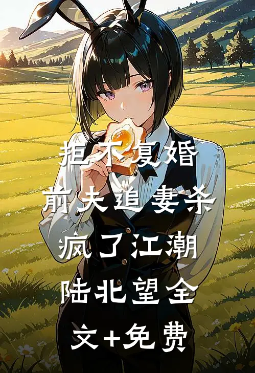拒不复婚：前夫追妻杀疯了江潮陆北望全文+免费