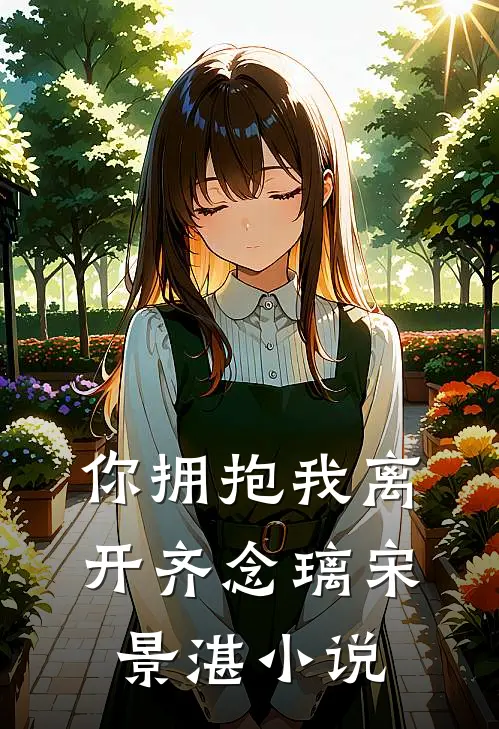 你拥抱我离开齐念璃宋景湛小说