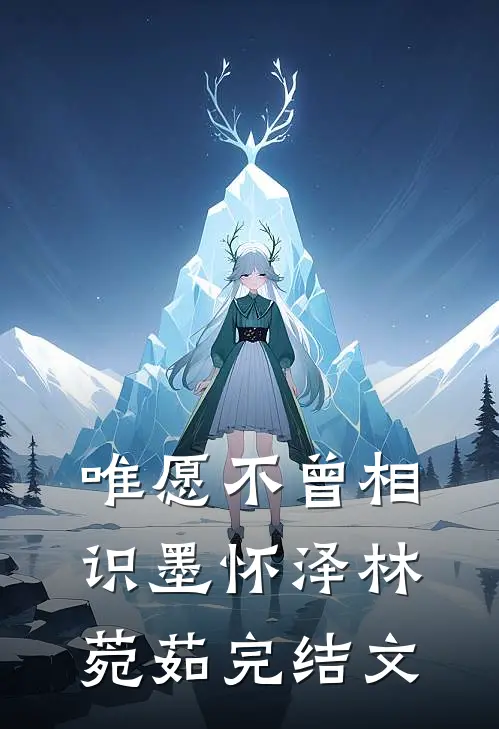 唯愿不曾相识墨怀泽林菀茹完结文