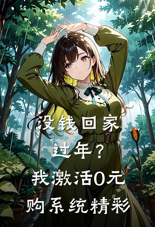 没钱回家过年？我激活0元购系统精彩
