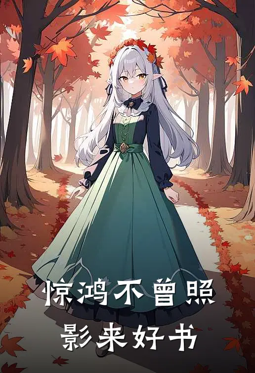 惊鸿不曾照影来好书