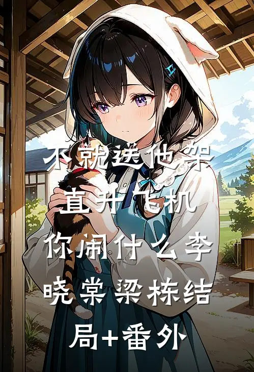 不就送他架直升飞机，你闹什么李晓棠梁栋结局+番外
