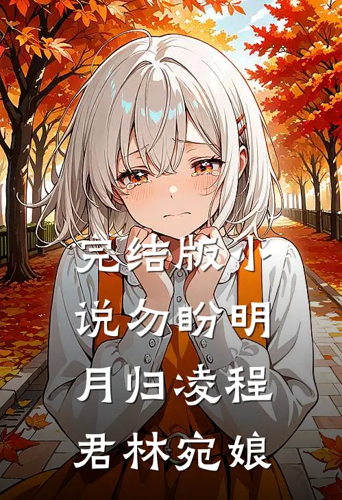 完结版小说勿盼明月归凌程君林宛娘